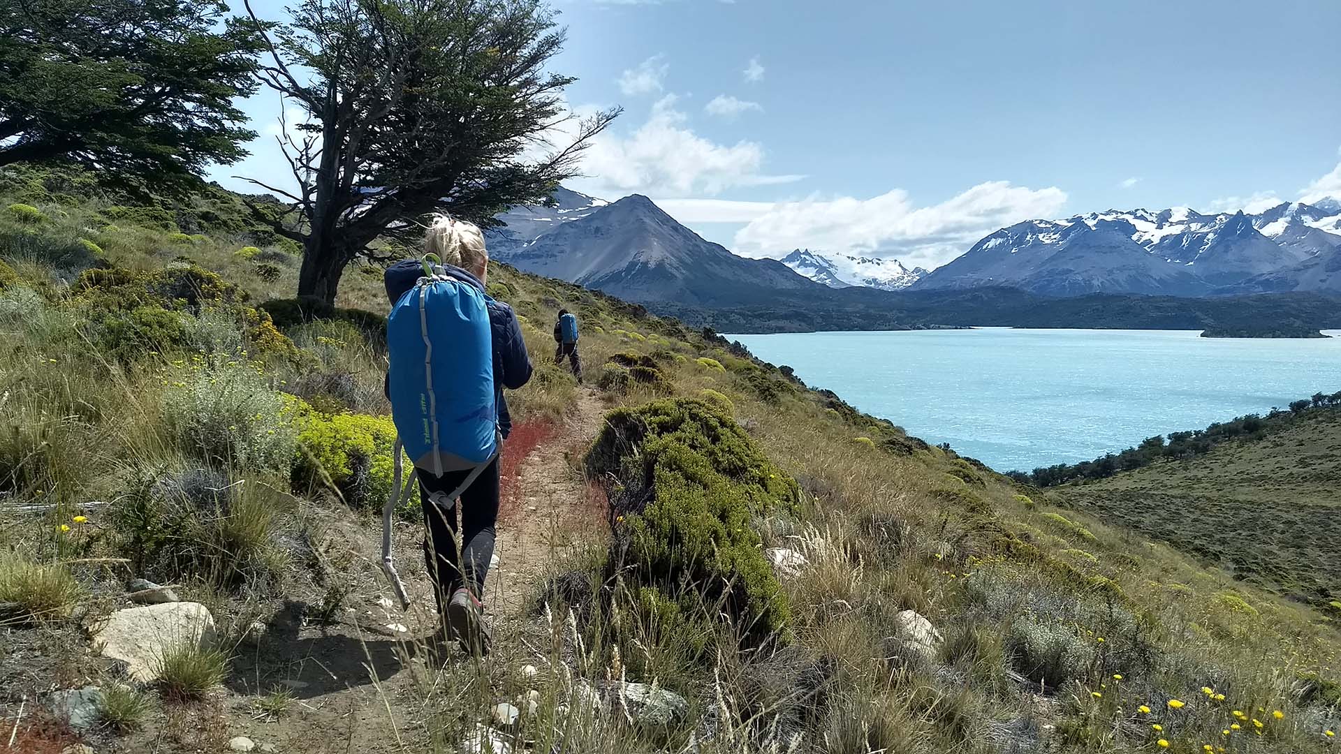 Paisaje del parque 3